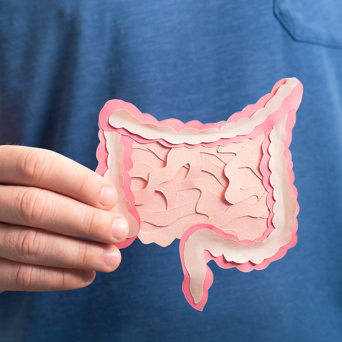 Hyvinvointia suolistolle uudella, tutkitulla butyraatti-valmisteella