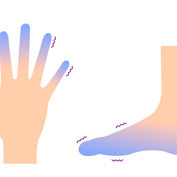 Kylmät sormet ja varpaat? Nattokinaasi tehostaa verenkiertoelimistön toimintaa