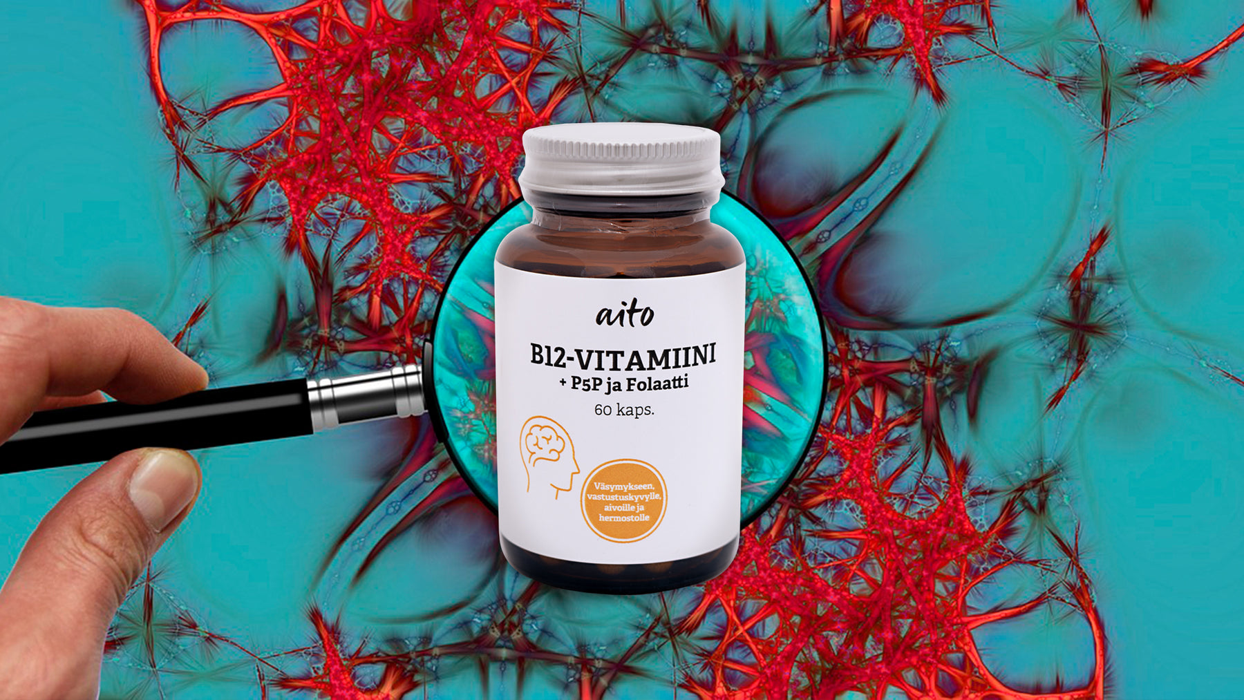 Tärkeimmät B-vitamiinit hermoston ja aivojen tueksi