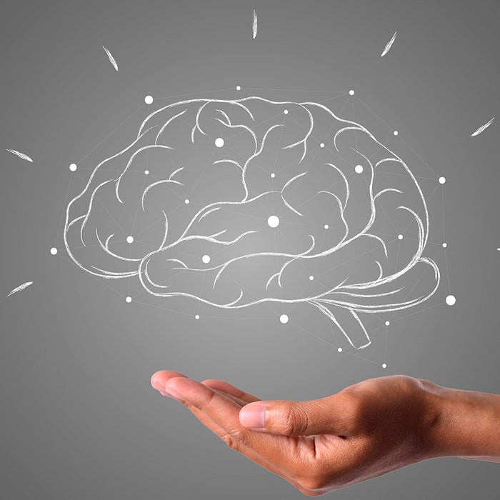 Sitikoliini tukee tärkeintä pääomaasi - aivoja