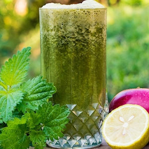 Nokkonen – monipuolinen villiyrtti