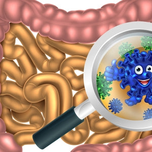 Triljoonia suita ruokittavana