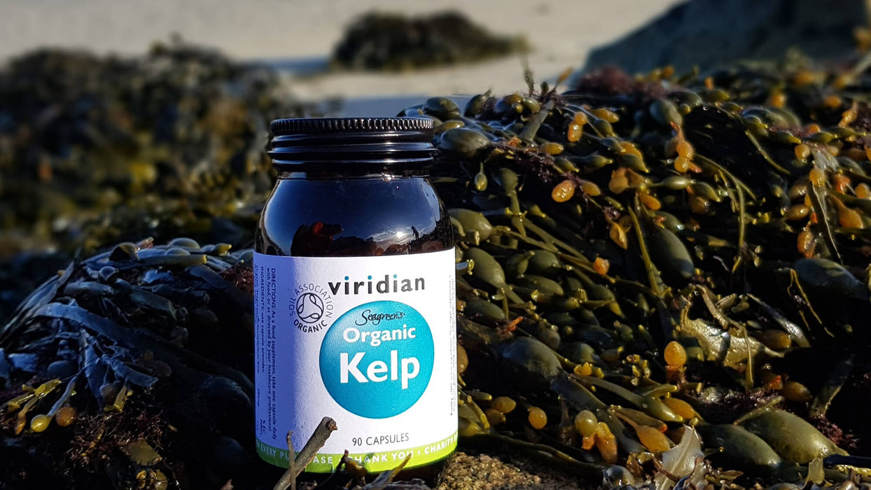 Viridian Luomu Kelp merilevä 90 kaps