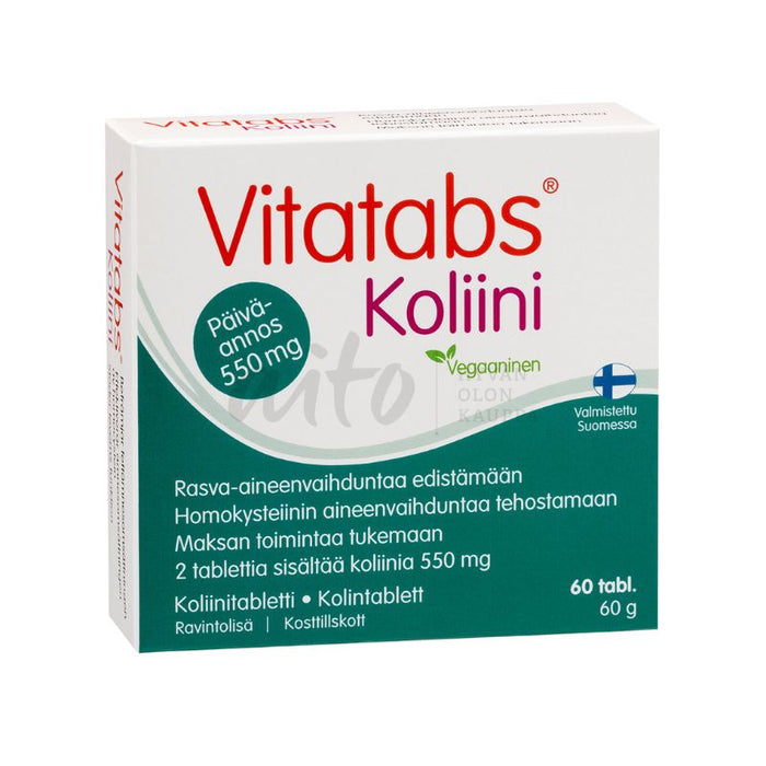 Vitatabs Koliini 60 tabl - Hankintatukku