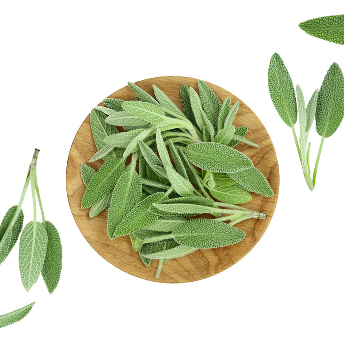 Monipuolinen salvia naisille ja miehille