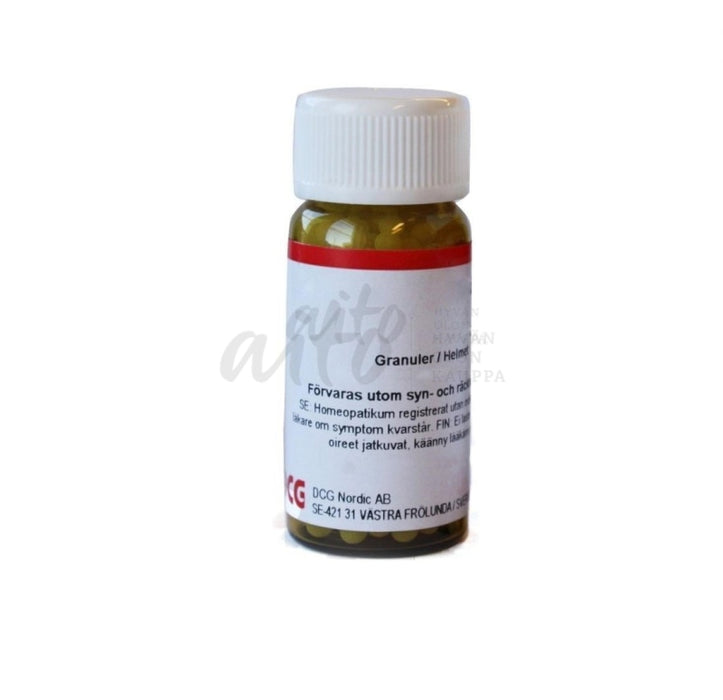 Allium Cepa D12 20 G - Dcg Nordic Misc
